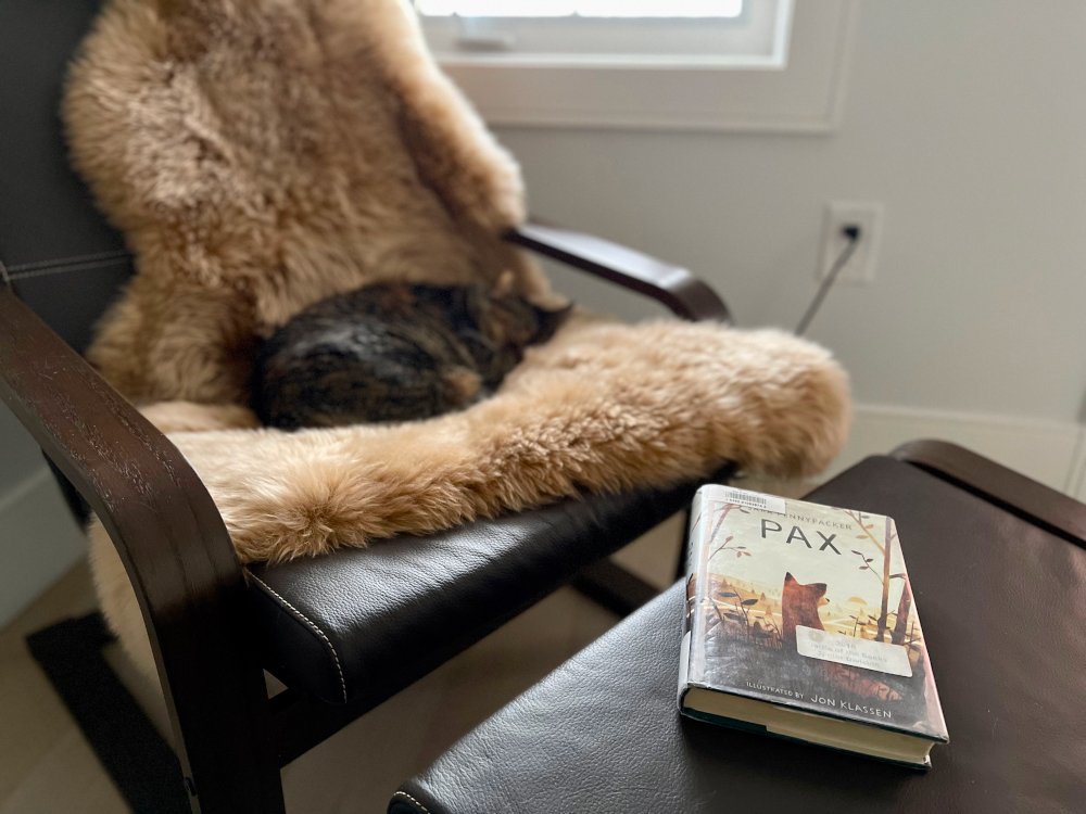 The book Pax is laying on a footstool and a tabby cat is sleeping on a sheepskin over a chair. Both the chair and footstool are made of brown leather and the structure of brown wood.