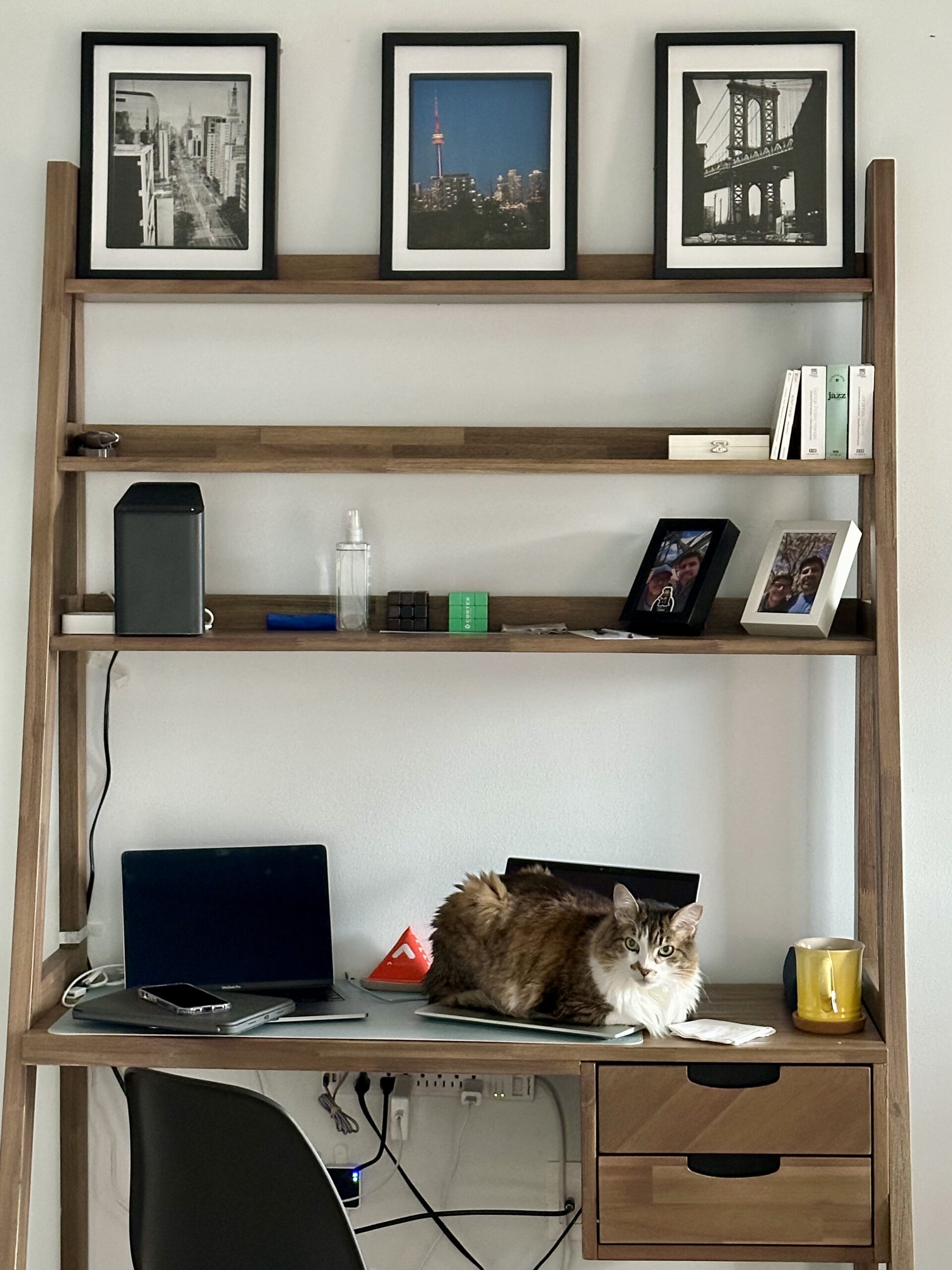 Thomas loves to spend time with me. When I turn around I often find him literally sitting on my writer's desk.